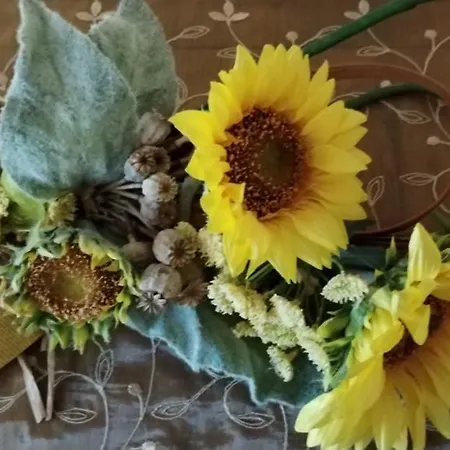 Corte Dei Molini 파에디스