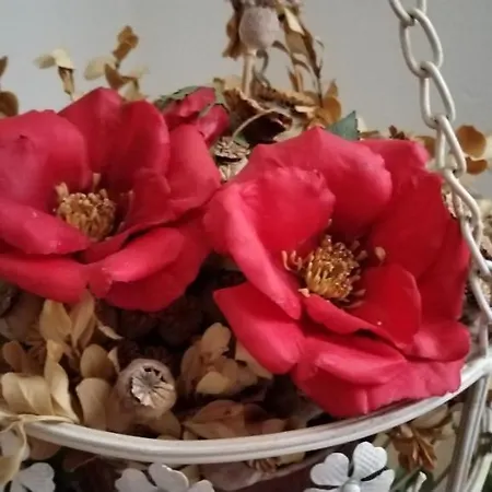 Corte Dei Molini 3* 파에디스