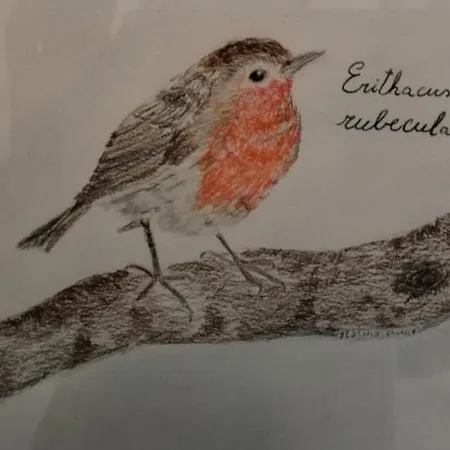 B&B Corte Dei Molini 파에디스