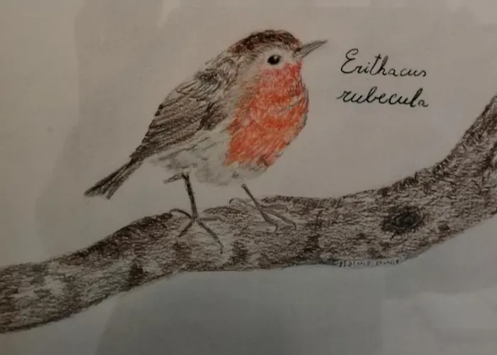 Bed & Breakfast Corte Dei Molini Faedis